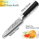 (8 inch) Professional Japanese Chef Knife - Cuisine Technik